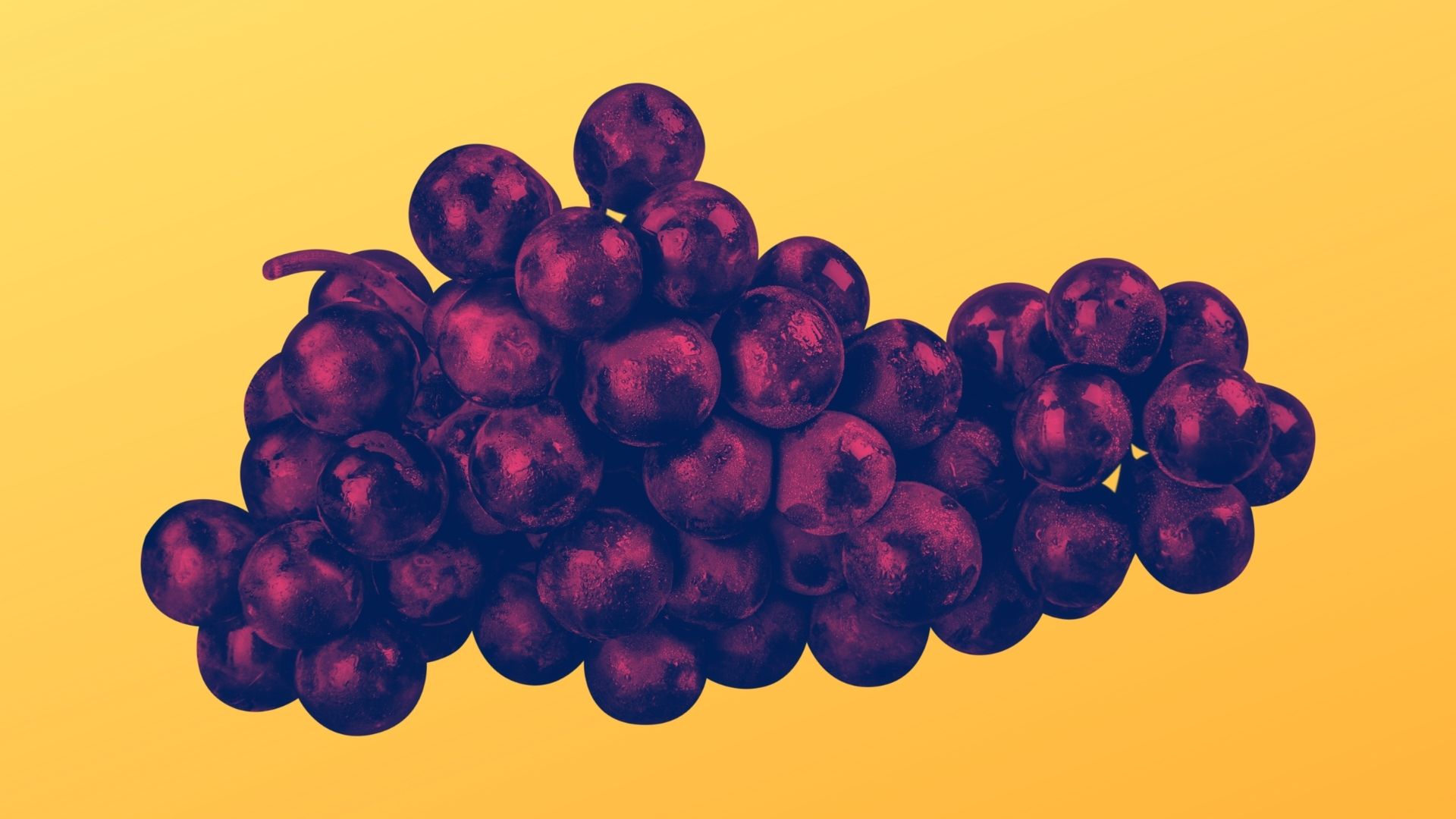 vini di puglia