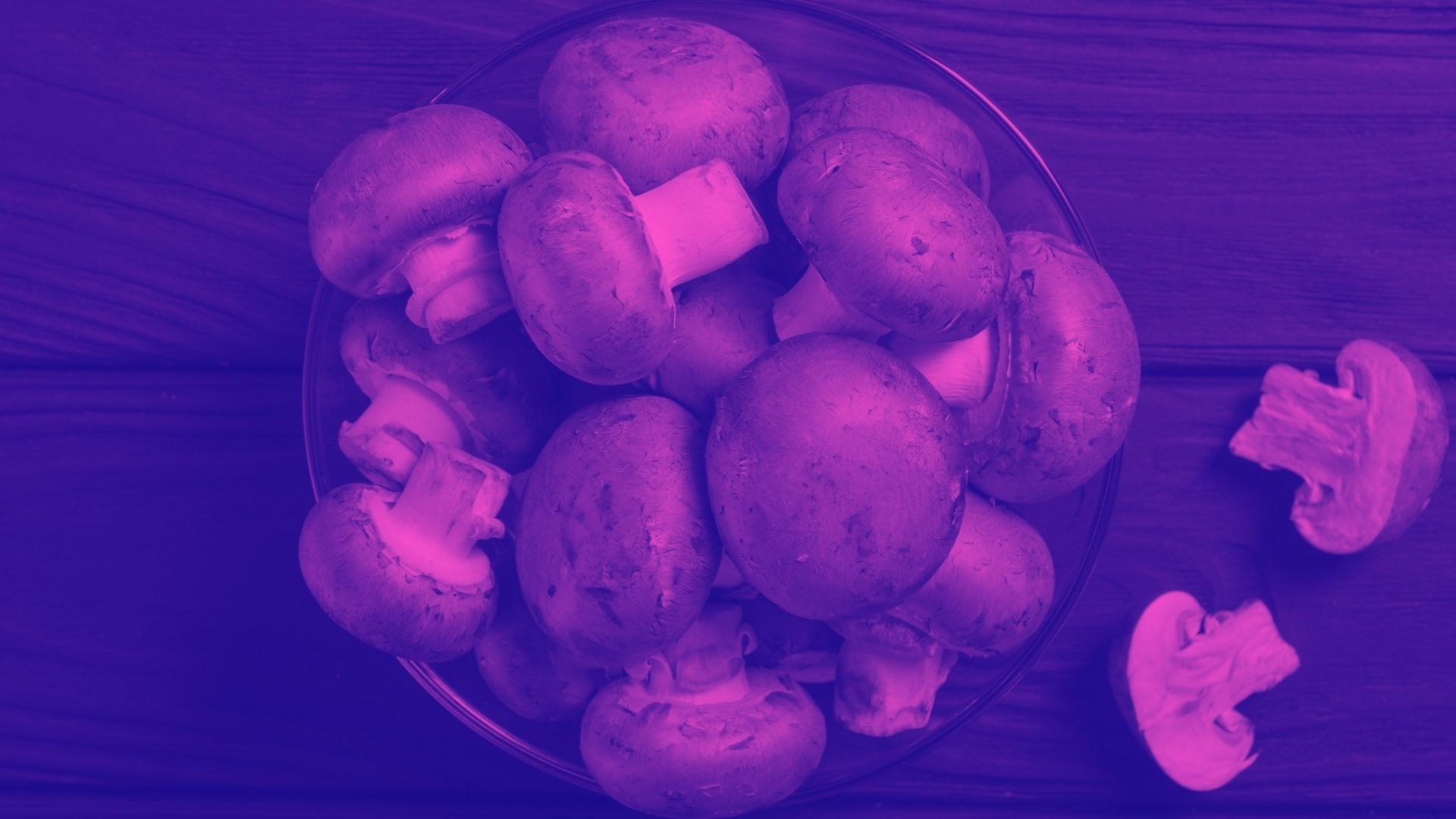 come abbinare vino e funghi