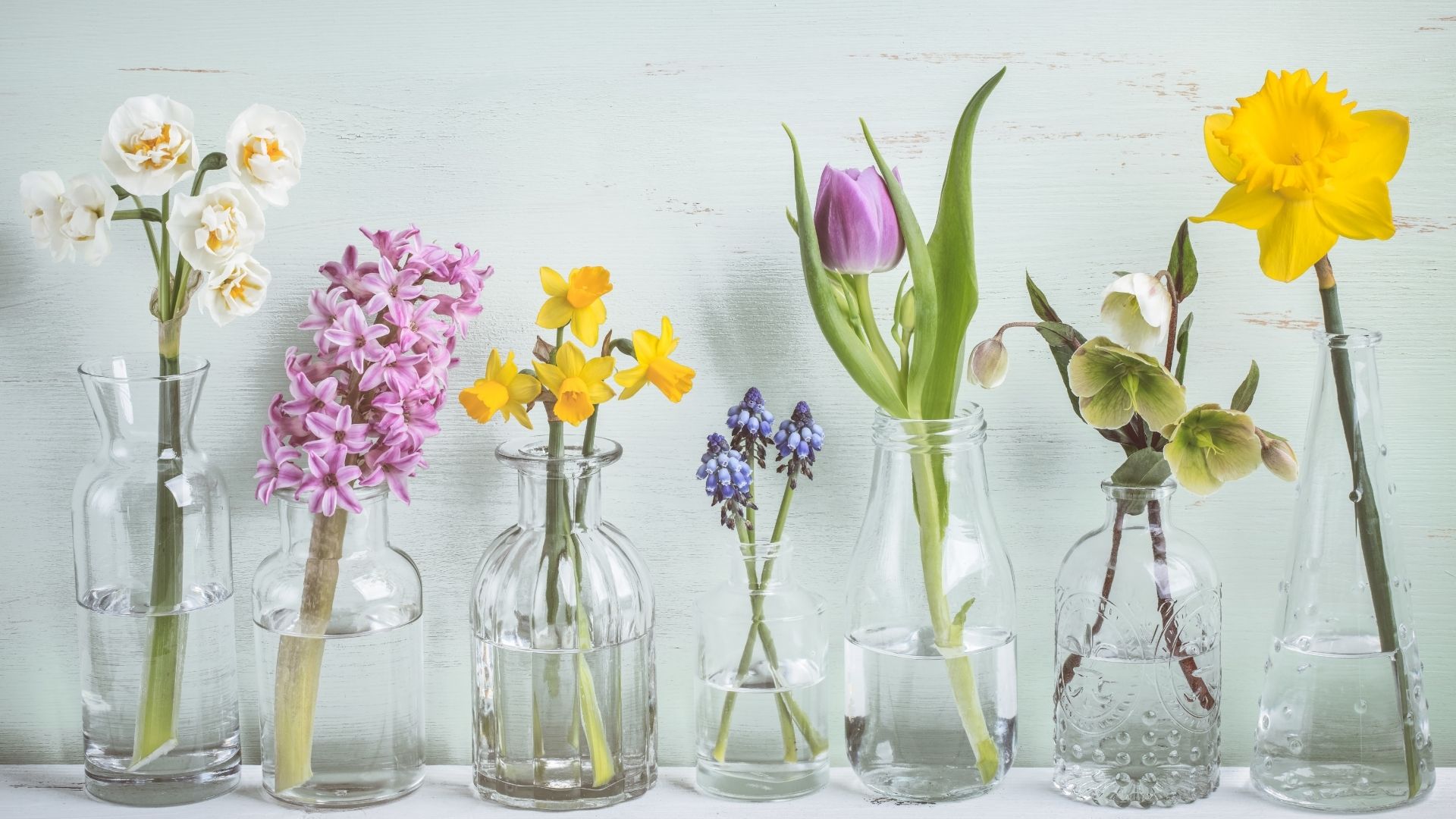 primavera e vini